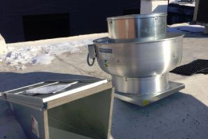 our work 12 20200615